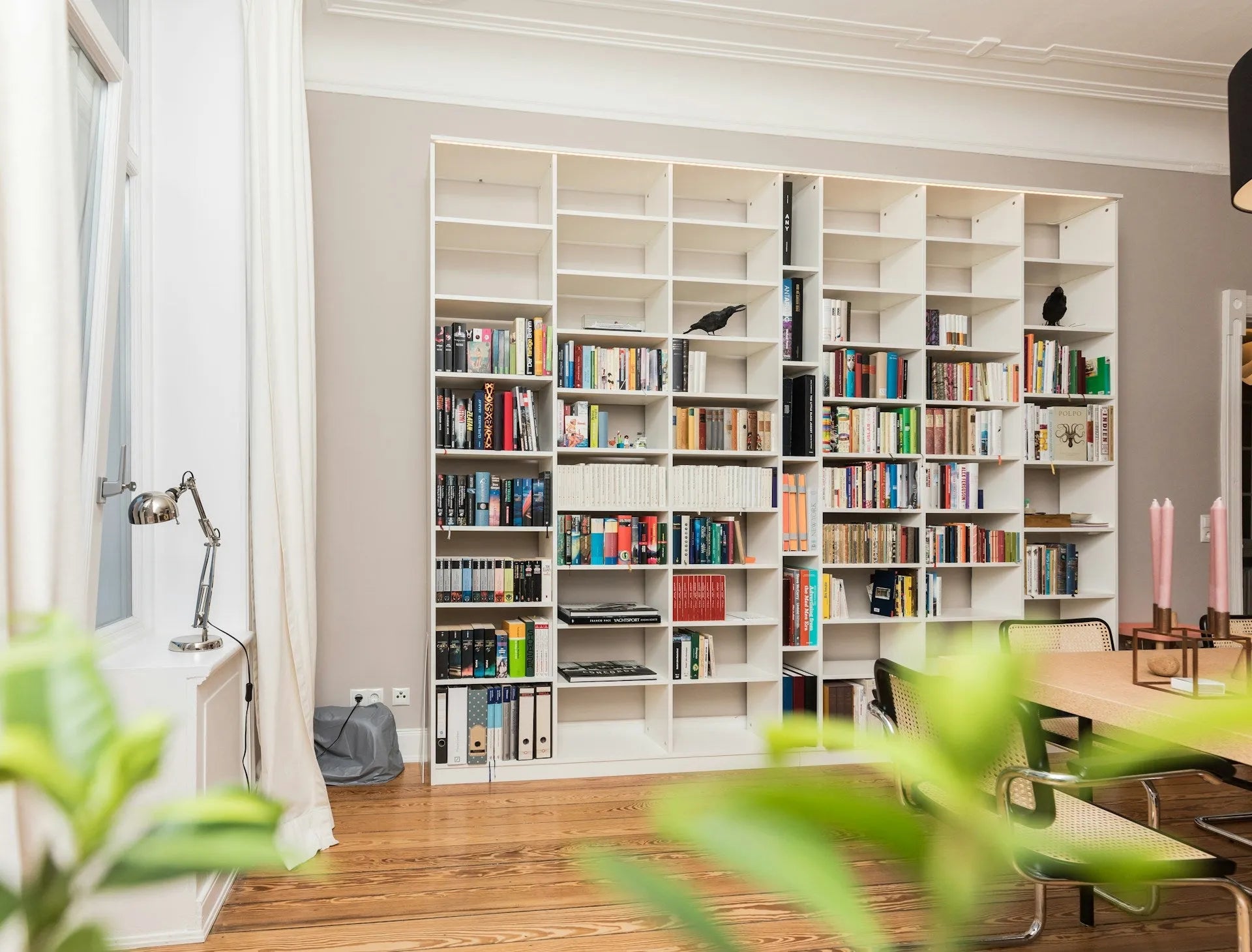 photo d'une bibliothèque intérieur, avec des plantes flou devant