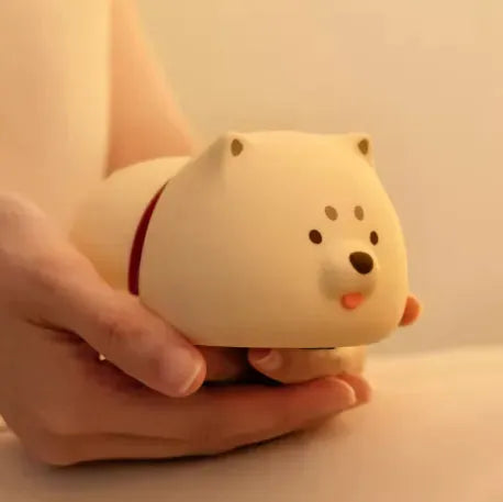 veilleuse shiba dans des mains